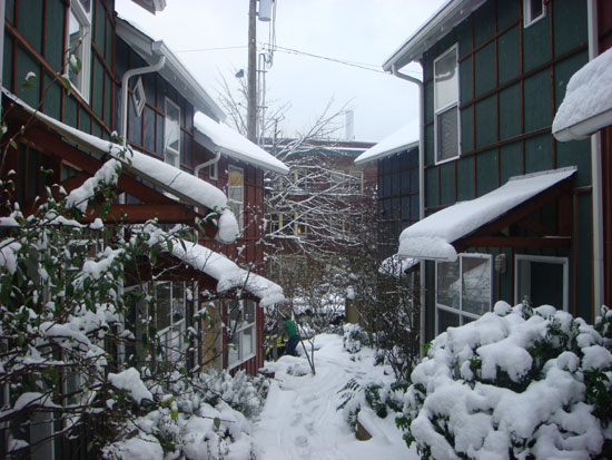 townhouse-snowed-in